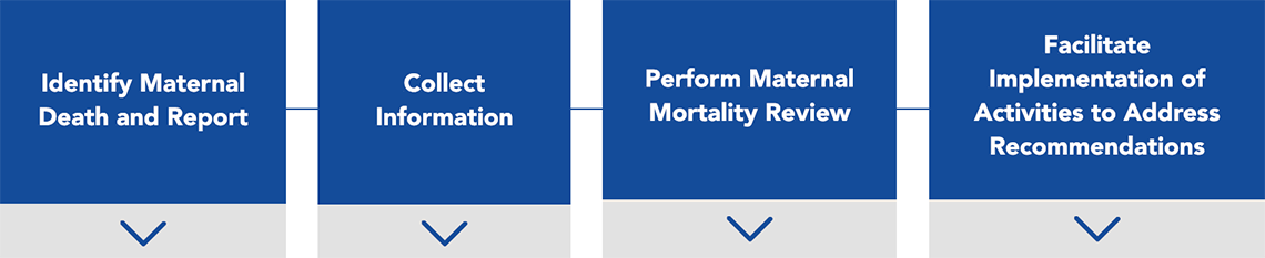 Maternal Mortality Review Cycle