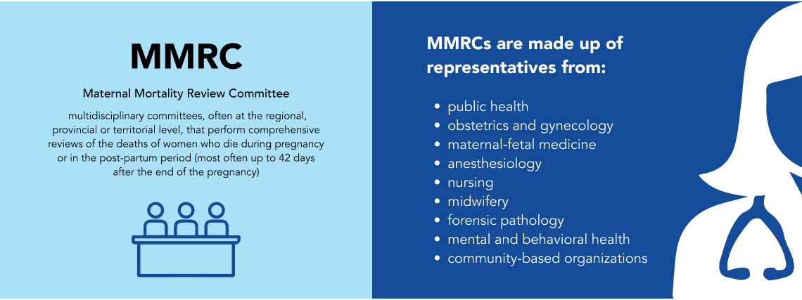 Maternal Mortality Review Committee